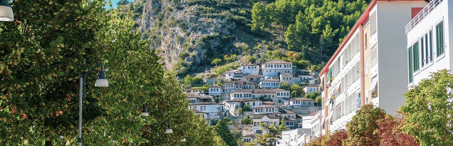 Eine von Bäumen gesäumte Fußgängerzone mit Häusern am Hang und einer Festung auf einem grünen Hügel unter einem klaren Himmel.