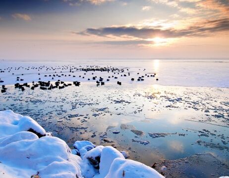Schneebedeckte Felsen an einem teilweise zugefrorenen See bei Sonnenuntergang, mit Vögeln, die sich auf dem Eis versammelt haben, und ruhigem, spiegelndem Wasser.