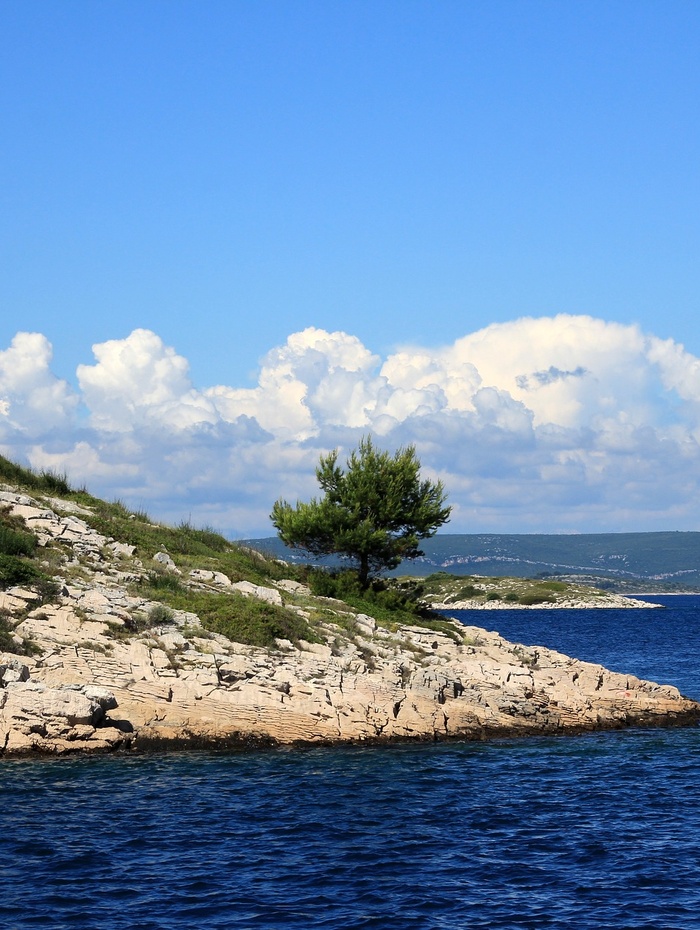 Ein einsamer Baum steht auf einer felsigen Küstenlinie mit blauem Meer und Wolken im Hintergrund.