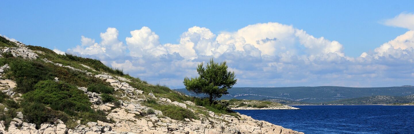 Ein einsamer Baum steht auf einer felsigen Küstenlinie mit blauem Meer und Wolken im Hintergrund.