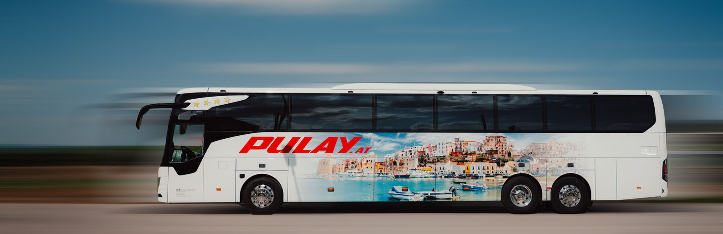 Radfahrer fahren unter bewölktem Himmel eine mit Bäumen gesäumte Küstenstraße entlang.