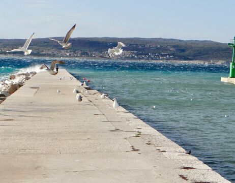 Stehende und fliegende Möwen über einem Betonpfeiler am blauen Meer, mit Hügeln im Hintergrund.