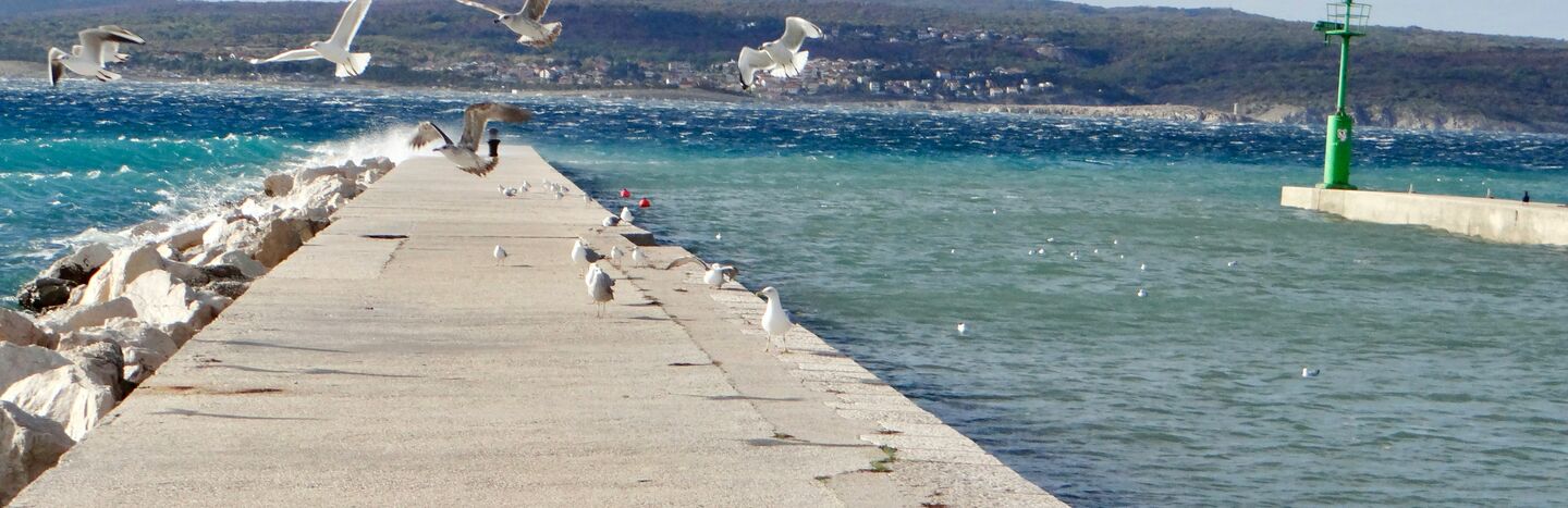 Stehende und fliegende Möwen über einem Betonpfeiler am blauen Meer, mit Hügeln im Hintergrund.