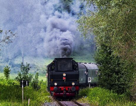 Ein schwarzer Dampfzug stößt dichten Rauch aus, während er durch eine üppig grüne, von Bäumen umgebene Landschaft fährt.