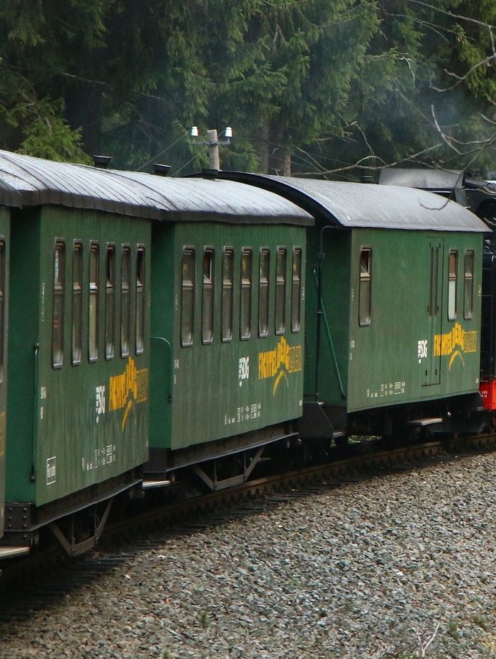 Grüne Personenzugwagen auf einer gebogenen Strecke mit Bäumen im Hintergrund.