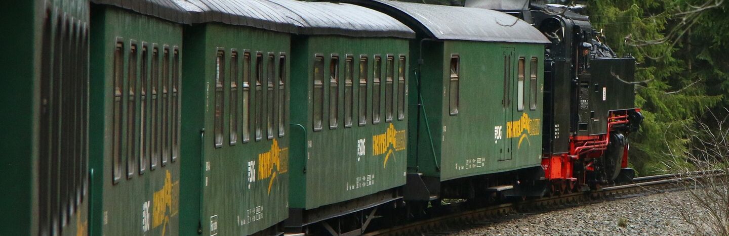 Grüne Personenzugwagen auf einer gebogenen Strecke mit Bäumen im Hintergrund.