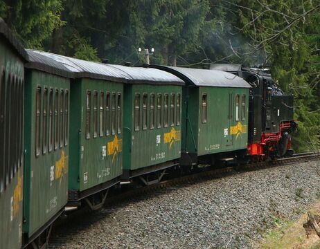Grüne Personenzugwagen auf einer gebogenen Strecke mit Bäumen im Hintergrund.