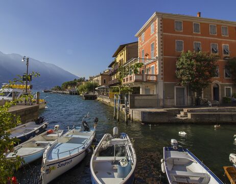 Vier Radfahrer fahren auf einem Schotterweg durch grüne Felder mit Bergen im Hintergrund.