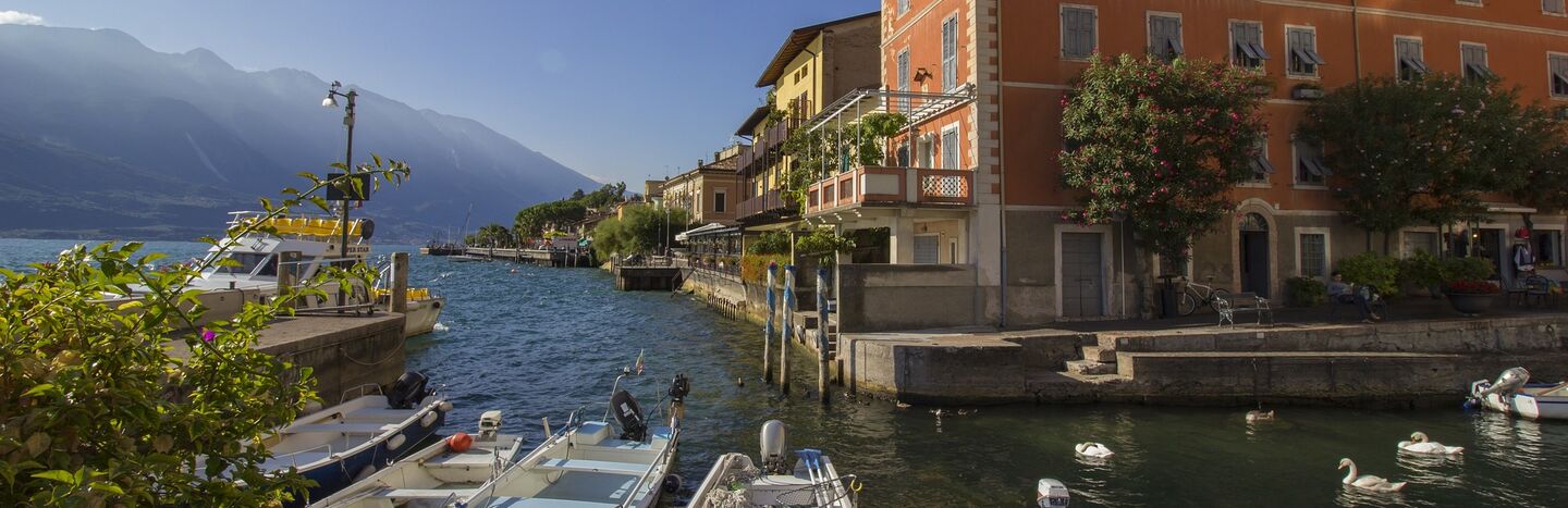 Vier Radfahrer fahren auf einem Schotterweg durch grüne Felder mit Bergen im Hintergrund.