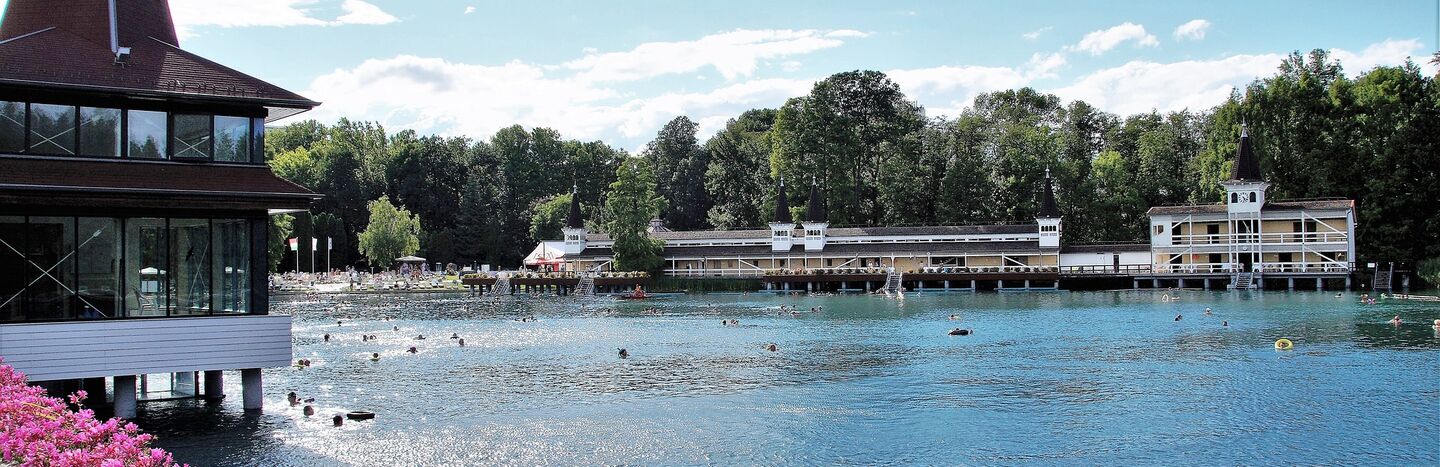 Eine heitere Seeszene mit Schwimmern, Blumen im Vordergrund und einem Gebäude mit spitzen Türmen im Hintergrund.
