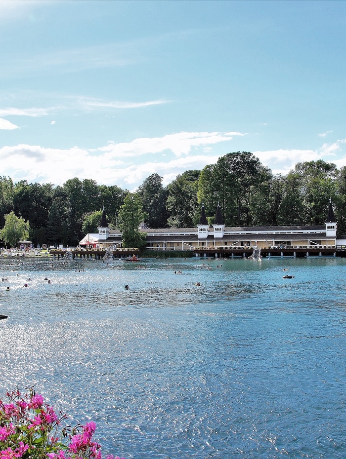 Eine heitere Seeszene mit Schwimmern, Blumen im Vordergrund und einem Gebäude mit spitzen Türmen im Hintergrund.