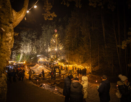 Die Menschen versammeln sich zu einer festlichen Veranstaltung im Freien mit Lichtern, einem geschmückten Baum und dem umliegenden Wald bei Nacht.
