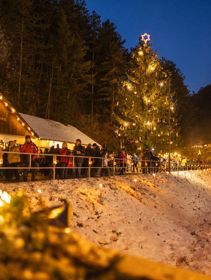 An einem verschneiten Abend versammeln sich die Menschen vor einem großen, geschmückten Weihnachtsbaum und festlichen Lichtern.