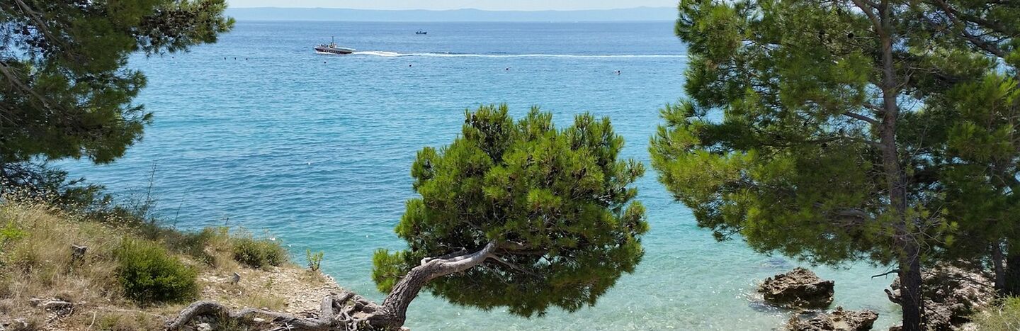 Windgepeitschte Pinie an einem felsigen Strand mit türkisfarbenem Meer und einem Boot in der Ferne.