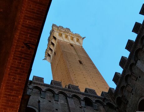 Hoher Backsteinturm von unten gesehen, eingerahmt von Gebäudemauern, vor einem klaren blauen Himmel.