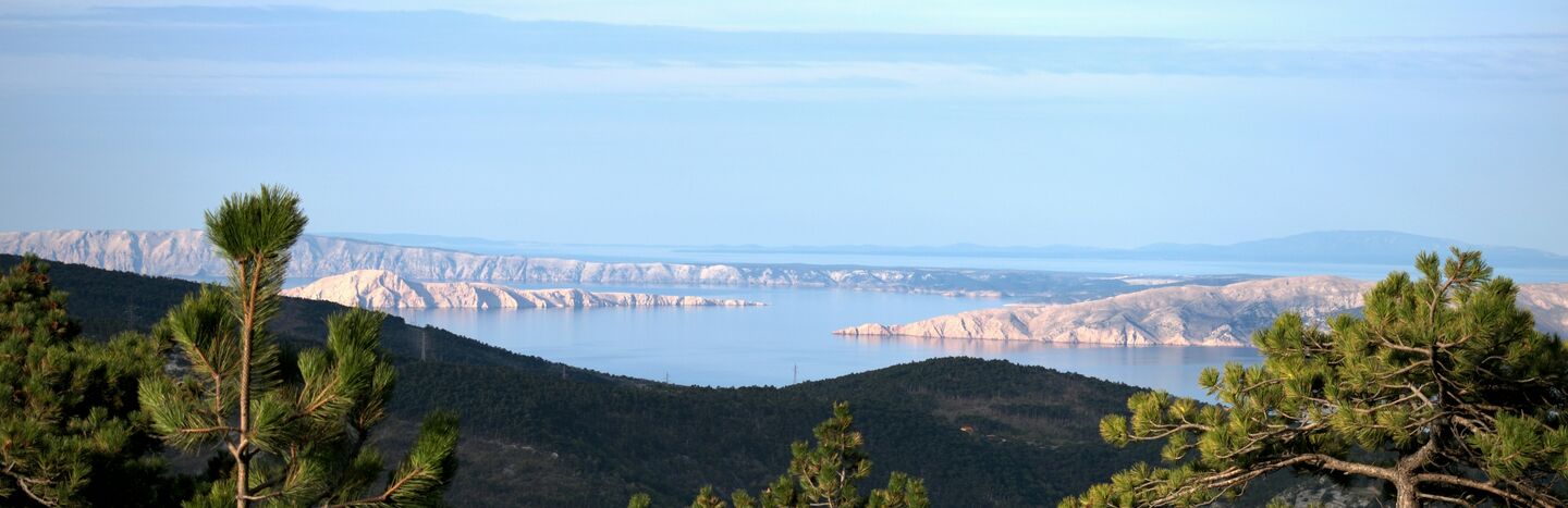 Blick auf das blaue Meer, die felsige Küste und die Kiefern im Vordergrund unter einem klaren Himmel.
