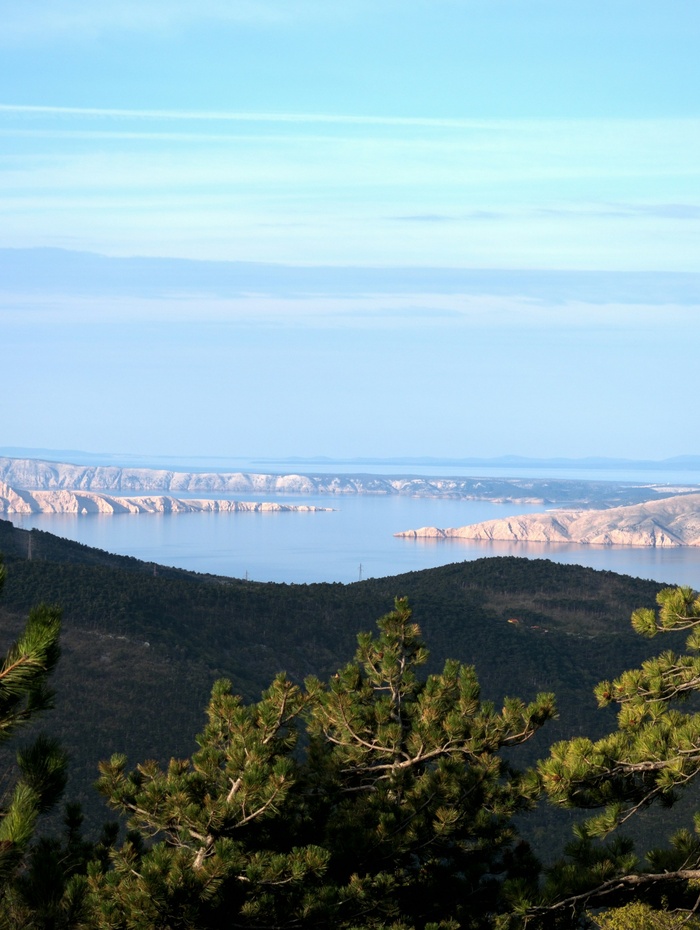 Blick auf das blaue Meer, die felsige Küste und die Kiefern im Vordergrund unter einem klaren Himmel.