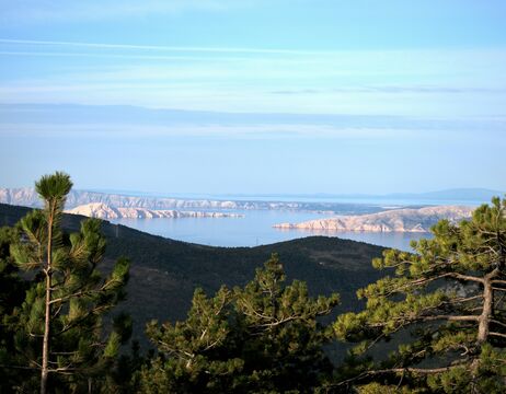 Blick auf das blaue Meer, die felsige Küste und die Kiefern im Vordergrund unter einem klaren Himmel.