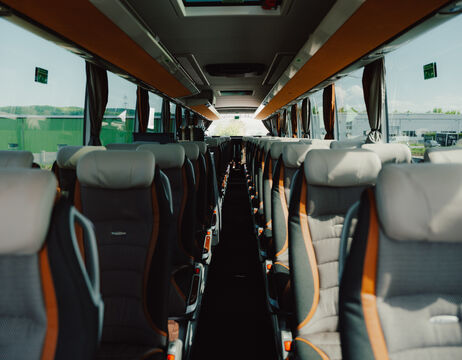 Ein Innenhof mit verzierten Bögen, Steinsäulen, Topfpflanzen und einem großen Baum in der Mitte.