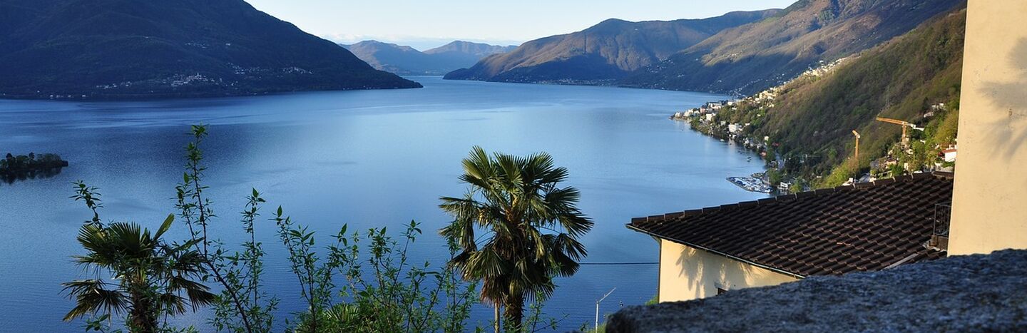 Blick auf einen ruhigen, von Bergen umgebenen See, mit einer Palme und einer Steinmauer im Vordergrund.