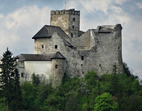 Eine alte Steinburg mit einem hohen zentralen Turm liegt auf einem grünen, baumbewachsenen Hügel unter einem wolkenverhangenen Himmel.