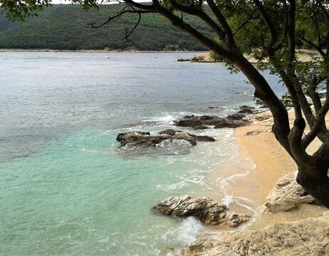 Ein felsiger Strand mit klarem, türkisfarbenem Wasser, überhängenden Bäumen und bewaldeten Hügeln an der Küste.