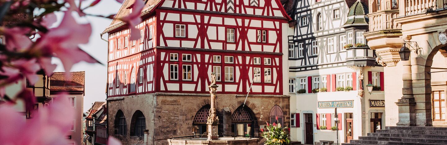Fachwerkhäuser und rosafarbene Blumen auf einem malerischen europäischen Stadtplatz mit Kopfsteinpflaster.