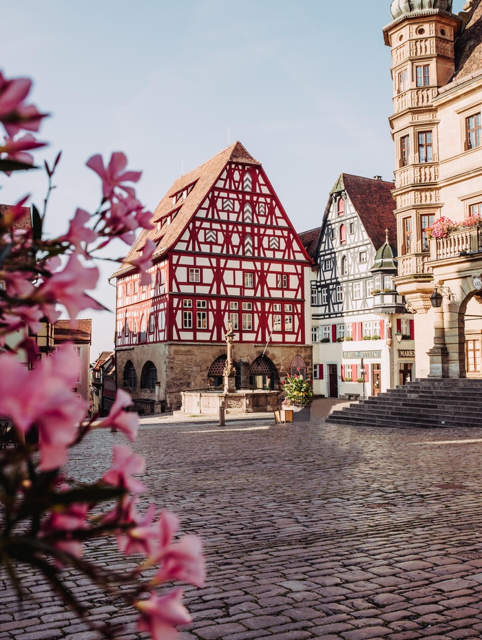 Fachwerkhäuser und rosafarbene Blumen auf einem malerischen europäischen Stadtplatz mit Kopfsteinpflaster.
