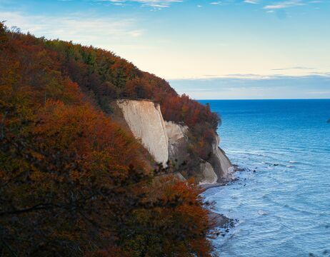 Weiße Kreidefelsen am Meer, gesäumt von herbstlich gefärbten Bäumen unter einem teilweise bewölkten Himmel.