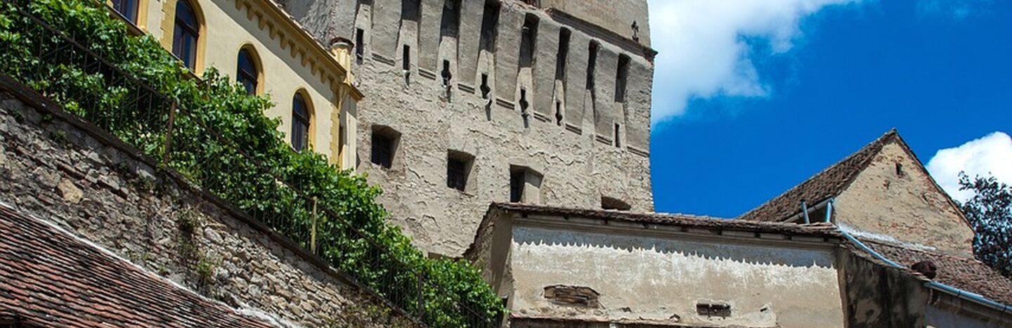 Mehrere Klarglasflaschen mit deutschen Etiketten stehen auf einem Holzfass in rustikaler Brennerei-Atmosphäre.