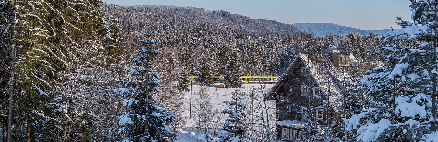 Schneebedeckte Bäume und eine Hütte in einer winterlichen Waldlandschaft unter einem klaren blauen Himmel.