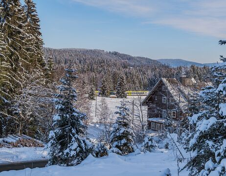 Schneebedeckte Bäume und eine Hütte in einer winterlichen Waldlandschaft unter einem klaren blauen Himmel.