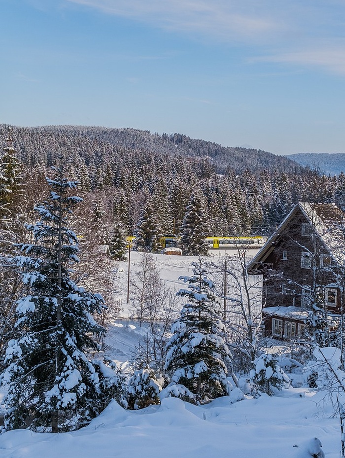 Schneebedeckte Bäume und eine Hütte in einer winterlichen Waldlandschaft unter einem klaren blauen Himmel.
