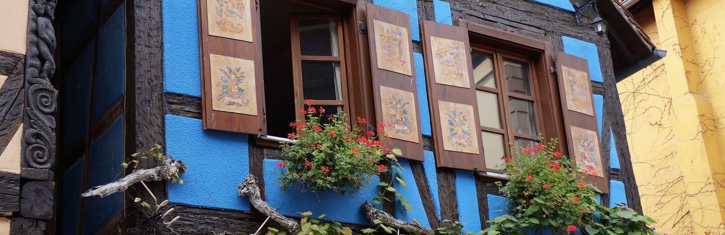 Blaues Fachwerkhaus mit hölzernen Fensterläden, Blumenkästen und grünen Weinreben an der Wand.