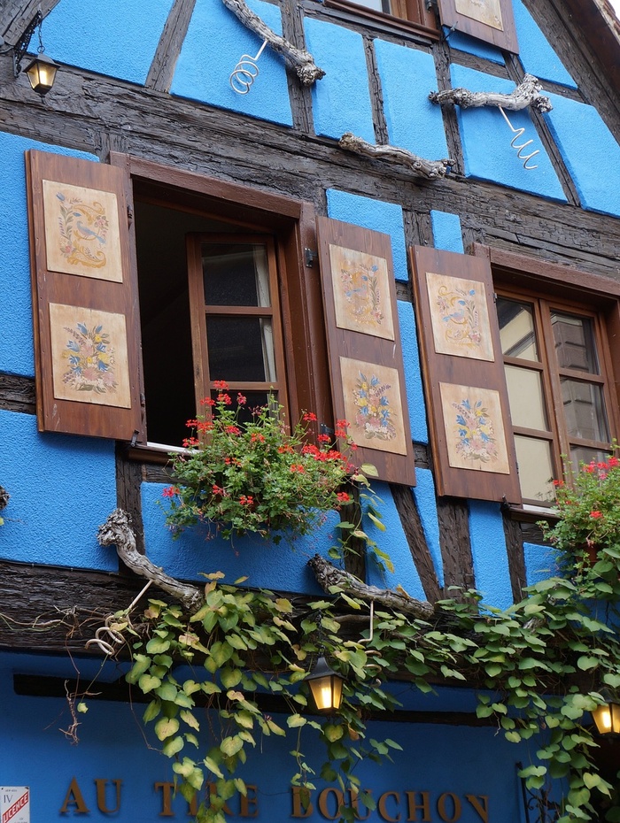 Blaues Fachwerkhaus mit hölzernen Fensterläden, Blumenkästen und grünen Weinreben an der Wand.
