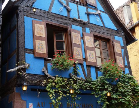 Blaues Fachwerkhaus mit hölzernen Fensterläden, Blumenkästen und grünen Weinreben an der Wand.