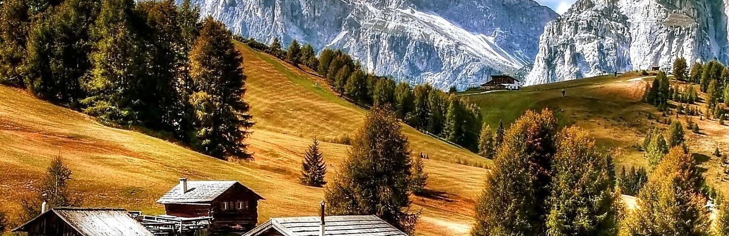 Rustikale Holzhütten auf einem grasbewachsenen Hügel mit hohen Bäumen und schneebedeckten Bergen im Hintergrund.