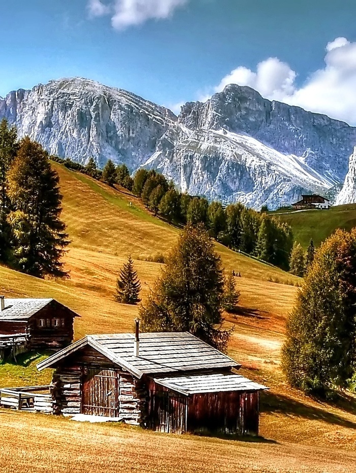 Rustikale Holzhütten auf einem grasbewachsenen Hügel mit hohen Bäumen und schneebedeckten Bergen im Hintergrund.