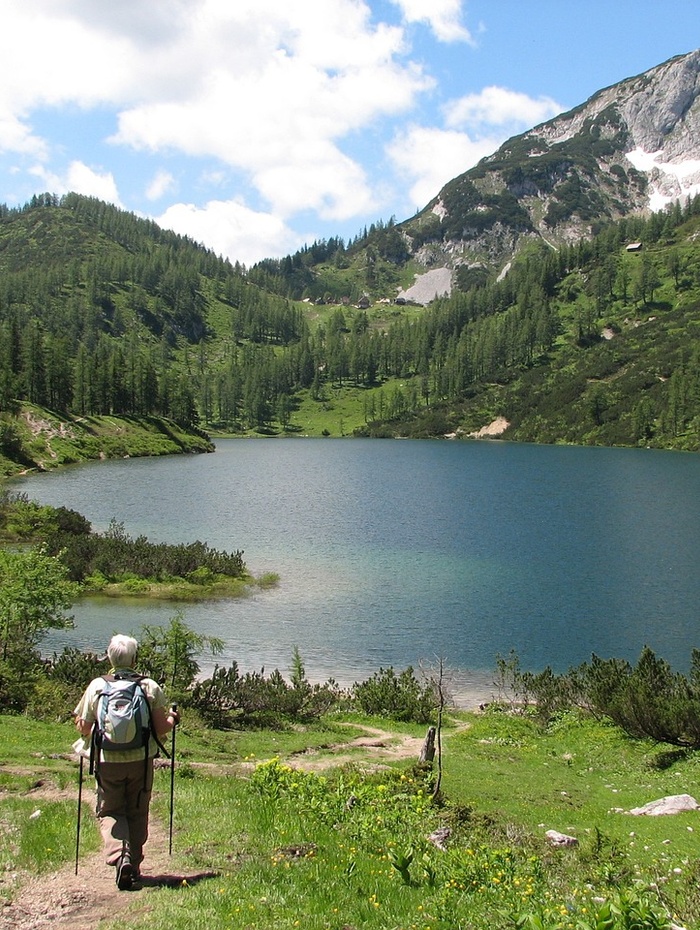 Ein Wanderer mit Trekkingstöcken steht an einem Bergsee, umgeben von grünen Hügeln und Bäumen unter blauem Himmel.