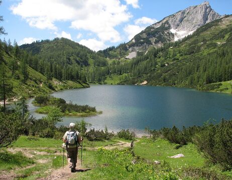 Ein Wanderer mit Trekkingstöcken steht an einem Bergsee, umgeben von grünen Hügeln und Bäumen unter blauem Himmel.
