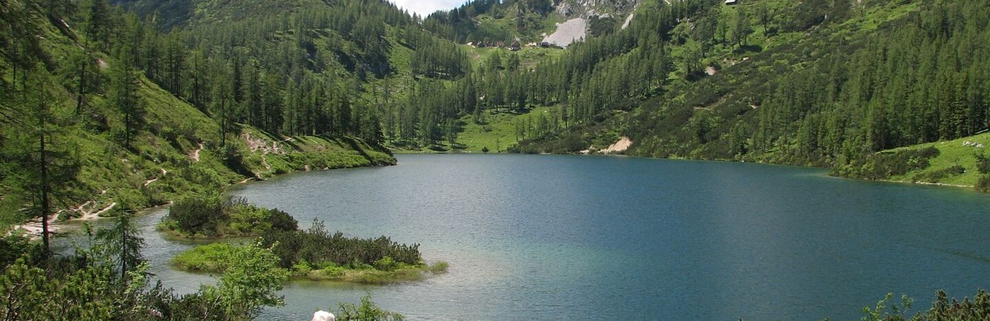 Ein Wanderer mit Trekkingstöcken steht an einem Bergsee, umgeben von grünen Hügeln und Bäumen unter blauem Himmel.