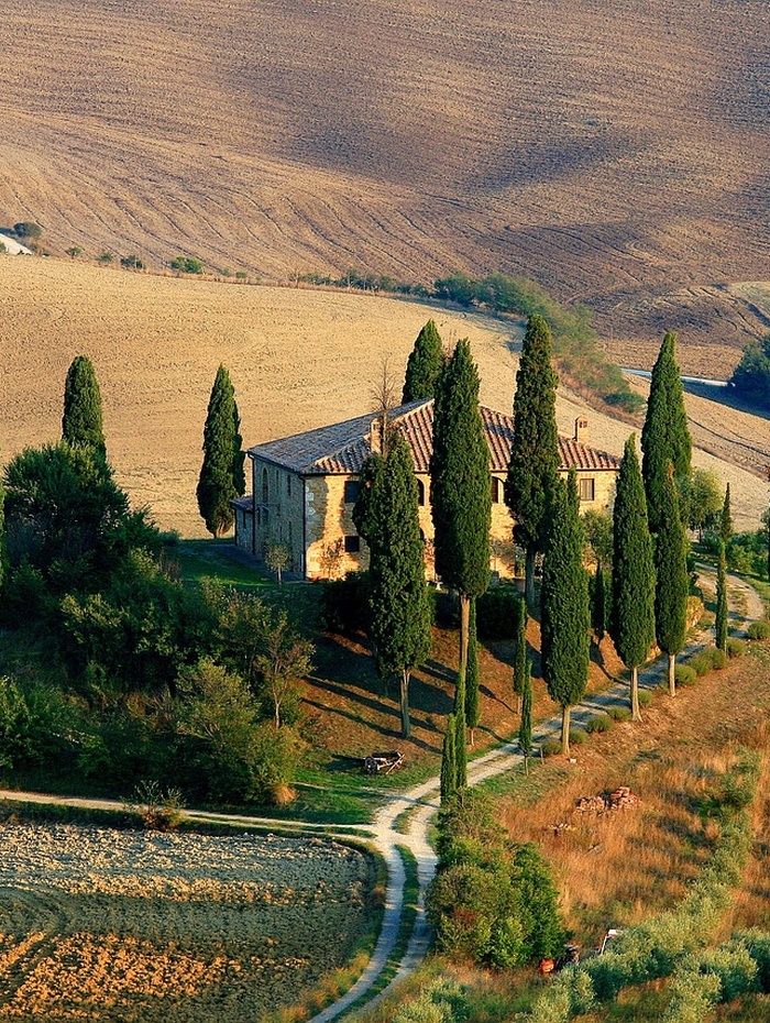Ein rustikales Haus, umgeben von hohen Zypressen an einem gewundenen Weg inmitten von goldenen Feldern.