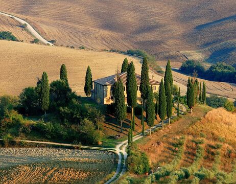 Ein rustikales Haus, umgeben von hohen Zypressen an einem gewundenen Weg inmitten von goldenen Feldern.