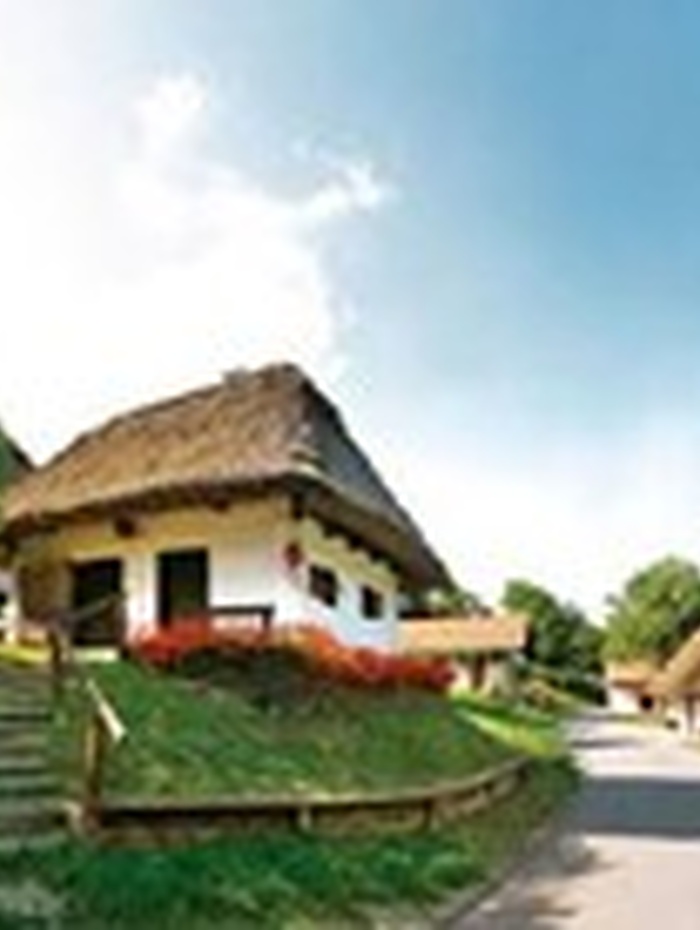 Ein Haus mit Reetdach und weißen Wänden, umgeben von viel Grün und einem strahlend blauen Himmel.