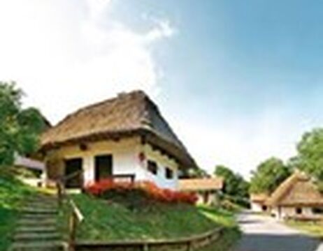 Ein Haus mit Reetdach und weißen Wänden, umgeben von viel Grün und einem strahlend blauen Himmel.