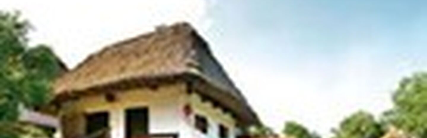 Ein Haus mit Reetdach und weißen Wänden, umgeben von viel Grün und einem strahlend blauen Himmel.