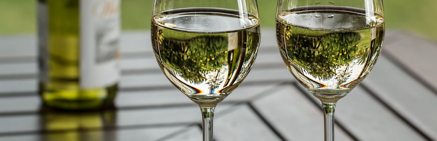 Zwei Gläser Weißwein auf einem Holztisch im Freien mit Grünzeug, das sich im Wein spiegelt.