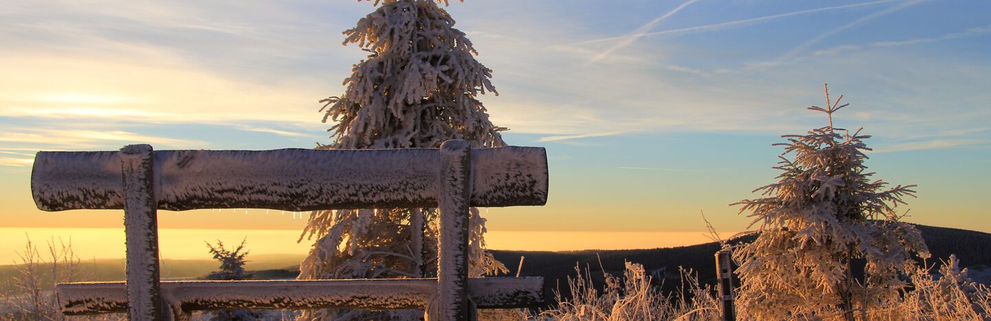 Schneebedeckter Baum und Holzzaun bei Sonnenaufgang, bei klarem Himmel und weichem, goldenem Licht im Winter.
