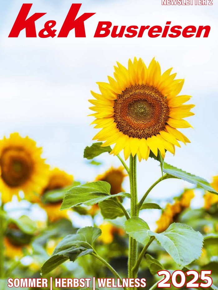 Eine leuchtende Sonnenblume in einem Feld unter blauem Himmel mit K&K Busreisen 2025 in fetter roter und weißer Schrift.